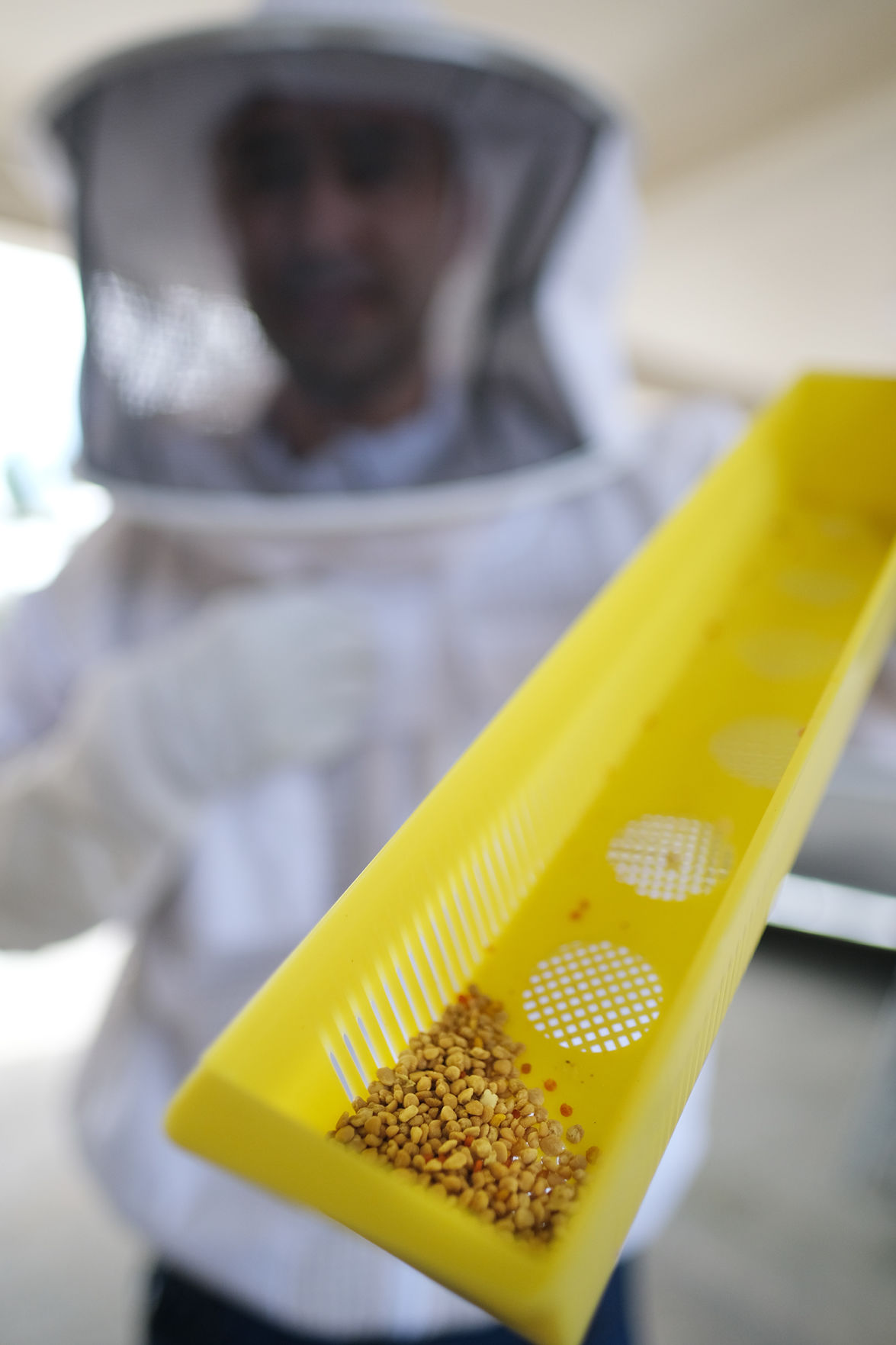 Guam’s sweetest secret: locally grown Hafa Adai Honey